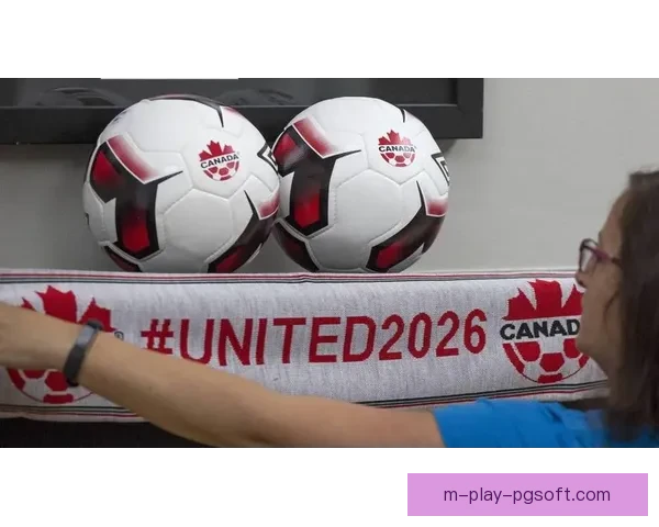 2026世界杯官方指定供应商推出赛事餐饮数字化创新方案提升观赛体验